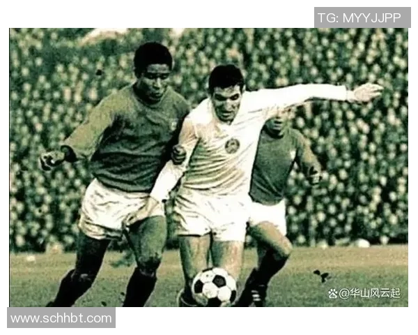 保加利亚足球传奇人物盘点与他们的辉煌成就回顾